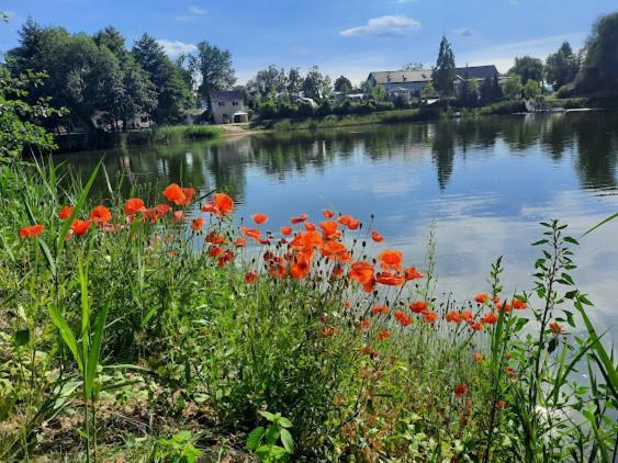 Dzierżoniów Forteca, Pokoje Goscinne Nad Stawem المظهر الخارجي الصورة