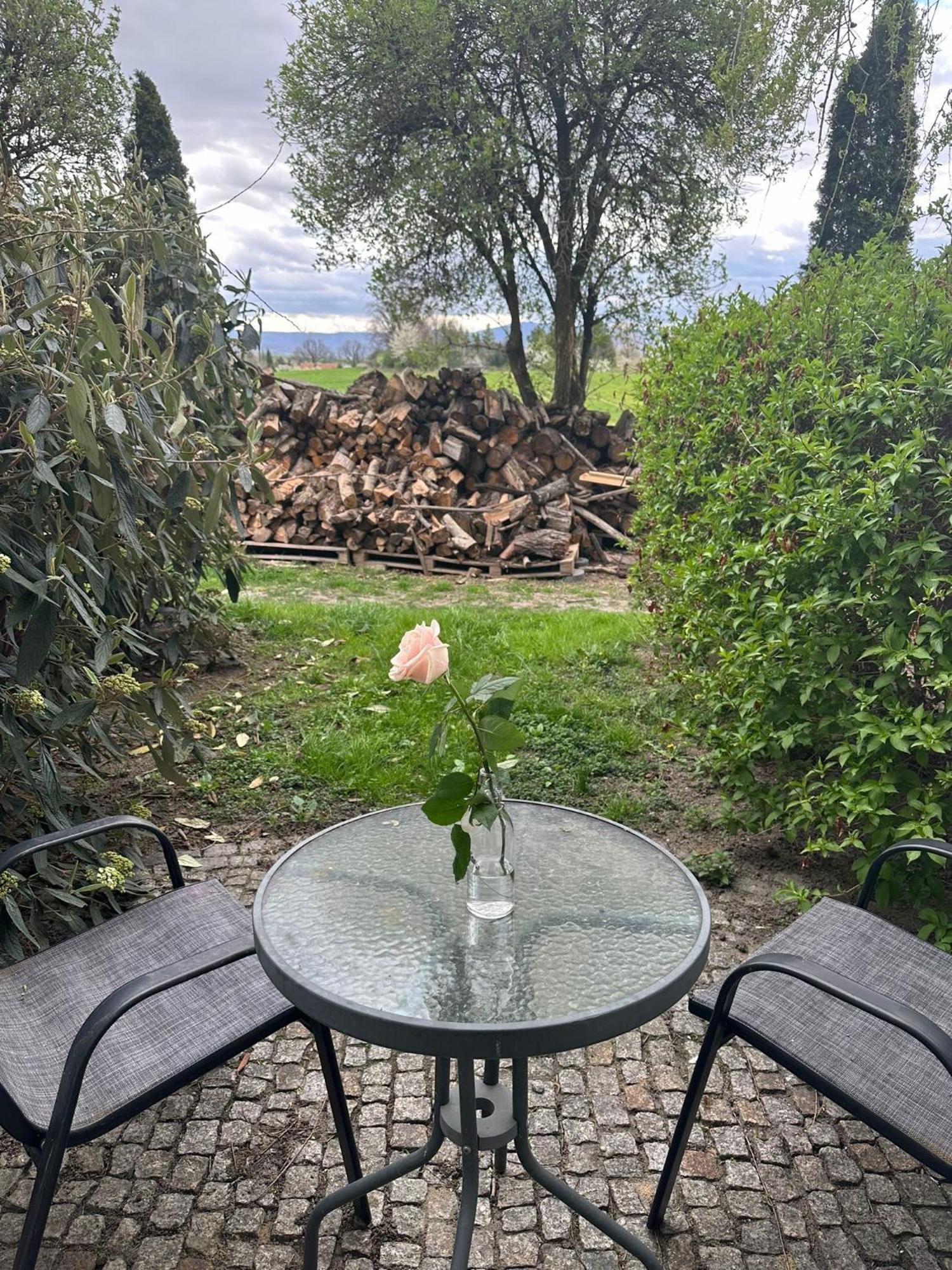 Dzierżoniów Forteca, Pokoje Goscinne Nad Stawem المظهر الخارجي الصورة